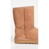 UGG Classic Short II 1016223 | Bottes Authentiques